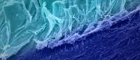 Colorized scanning electron micrograph of an enthesis, the site of tendon to bone attachment